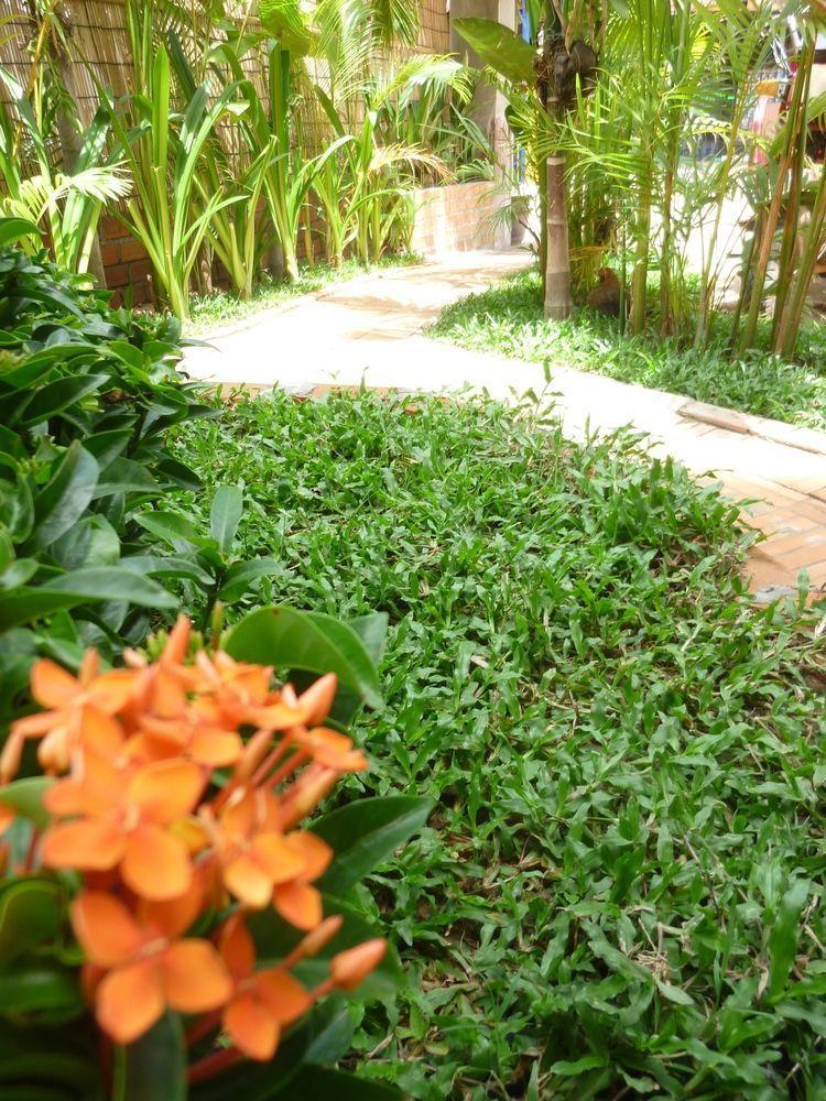 Angkor Reas Guesthouse Siem Reap Zewnętrze zdjęcie